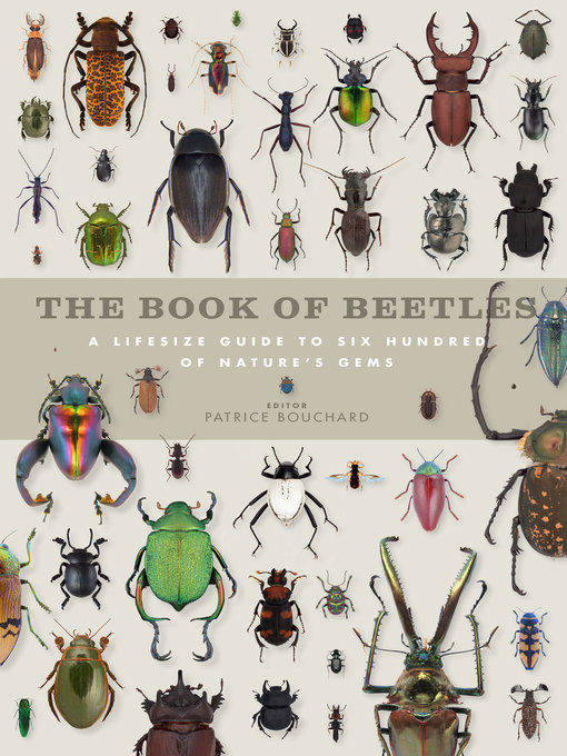 Title details for The Book of Beetles by Patrice Bouchard - Wait list